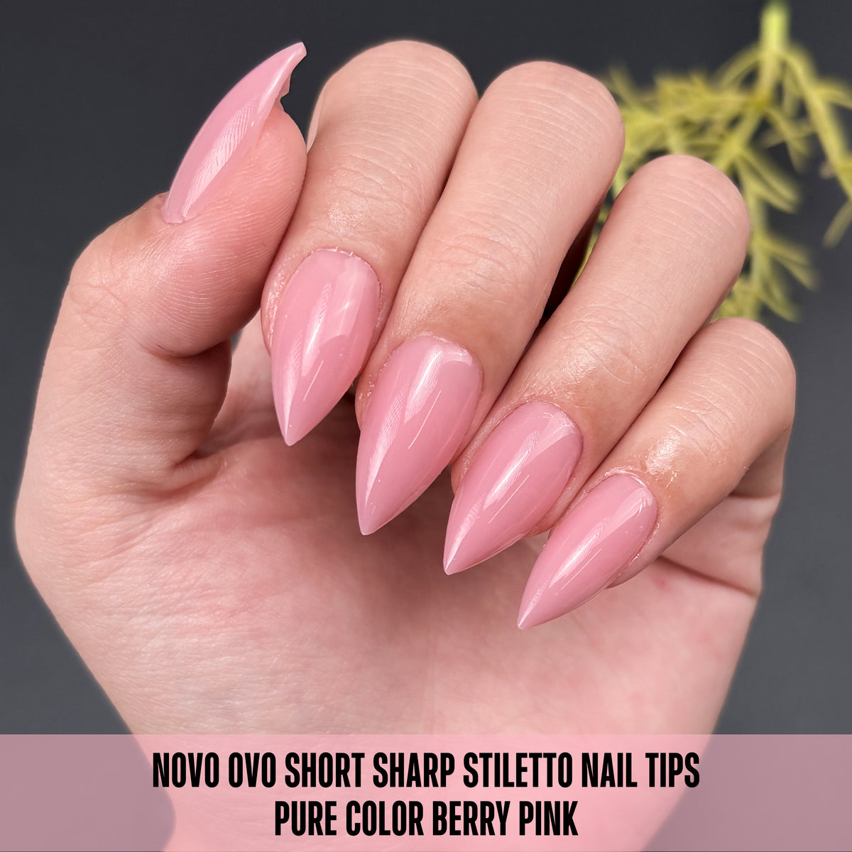 Short Sharp Stiletto Nail Tips Pure Color Berry Pink 224