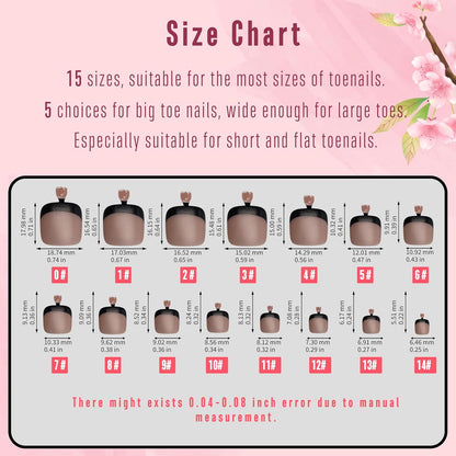 Black French Tip Toenails Brown Pink 15 Sizes 360 Pcs