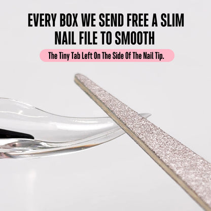 Eagle Claw Curved Stiletto 3D Nail Tips Clear 128